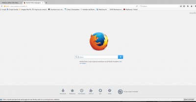 firefox 2.JPG